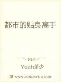 都市的贴身高手