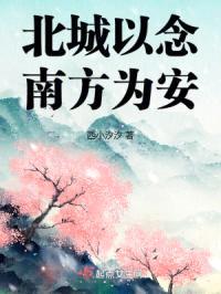 北城以念,南方为安