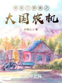 箫家三部曲之大国农机