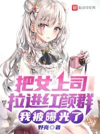 把女上司拉进红颜群,我被曝光了