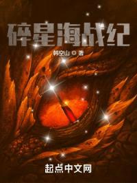 碎星海战纪