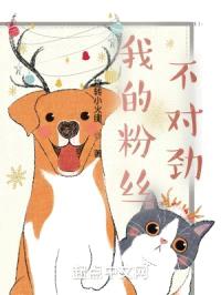 我的粉丝不对劲