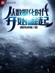 从数据化时代开始崛起