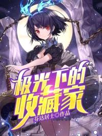 极光下的收藏家