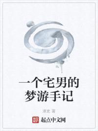 一个宅男的梦游手记