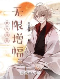 我在海贼无限增幅