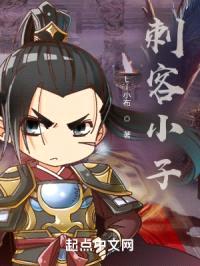 刺客小子