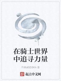 在骑士世界中追寻力量