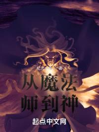 从魔法师到神
