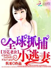 万亿老公:全球抓捕小逃妻