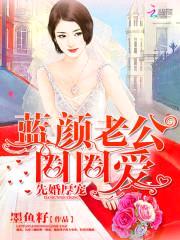 先婚厚宠:蓝颜老公圈圈爱