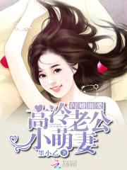 闪婚溺爱:高冷老公小萌妻