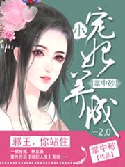 小宠妃养成2.0:邪王,你站住