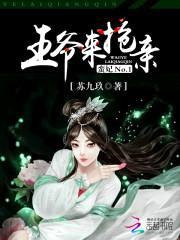 蛮妃No.1:王爷来抢亲