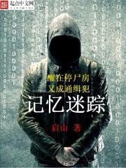 记忆迷踪